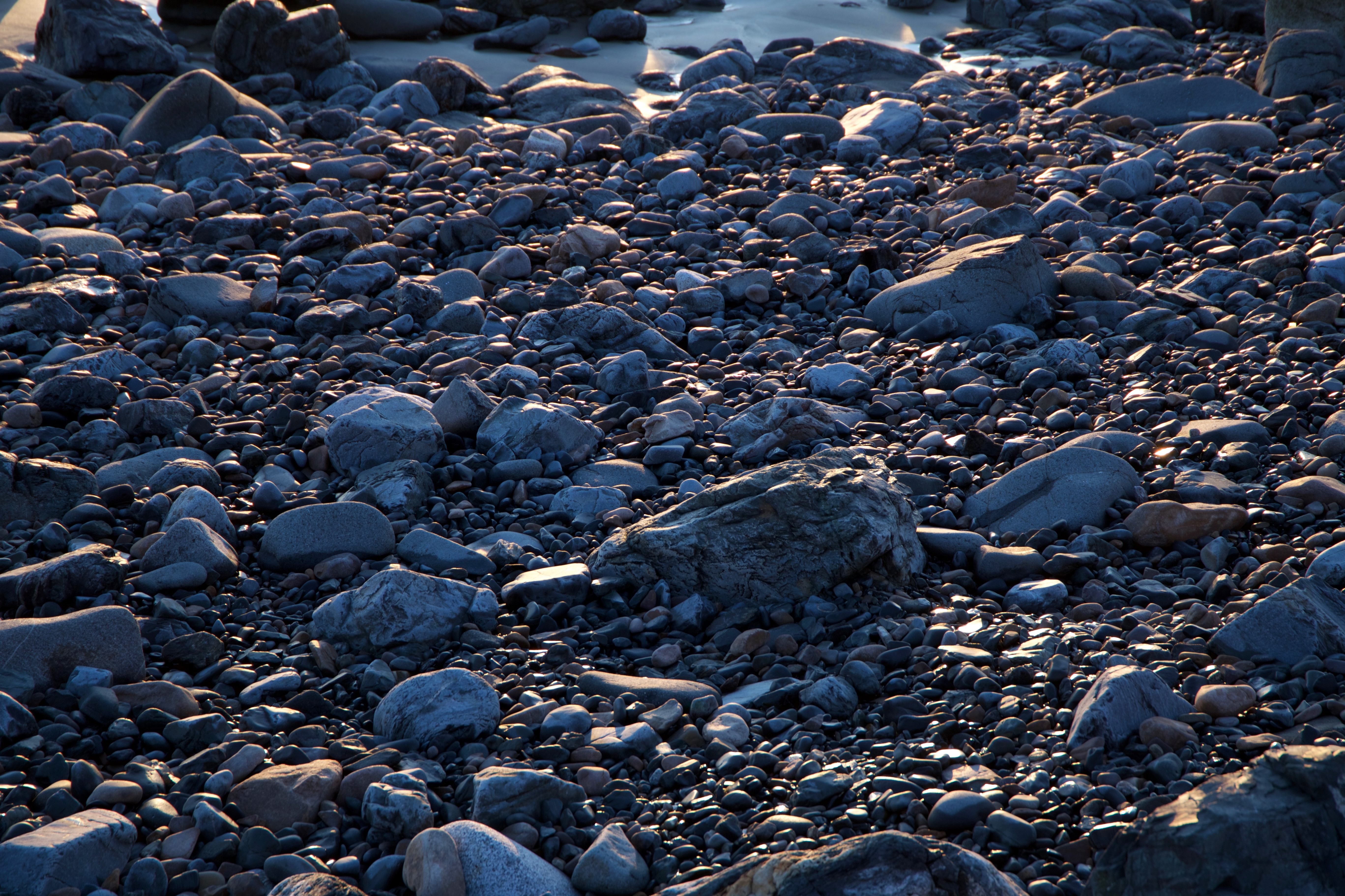 Revenue Officer assistance process