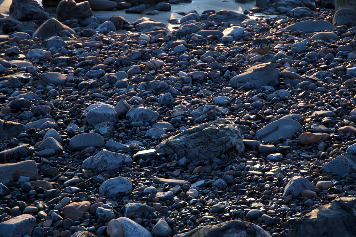 Tax return preparation