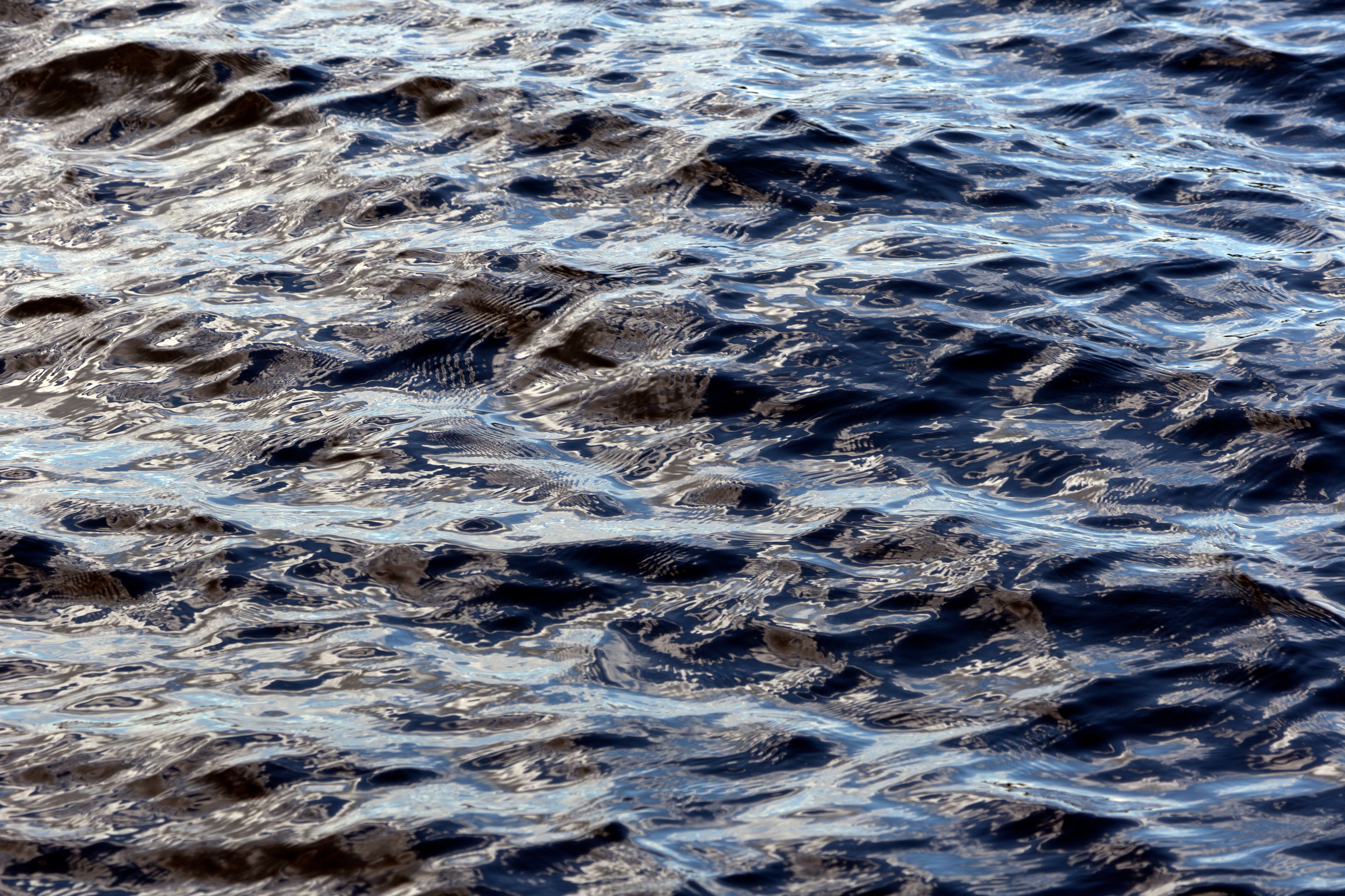 Penalty abatement consultation